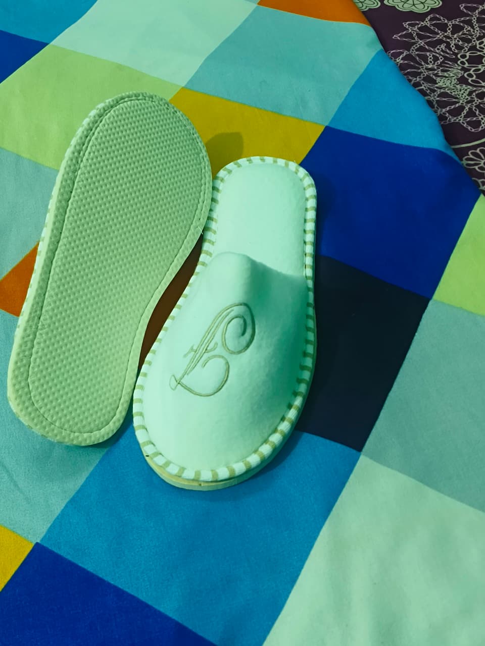 Slipper 1